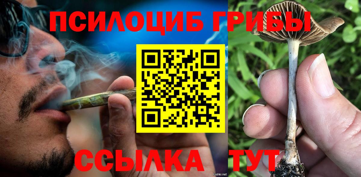 Псилоцибиновые грибы мухоморы Анжеро-Судженск
